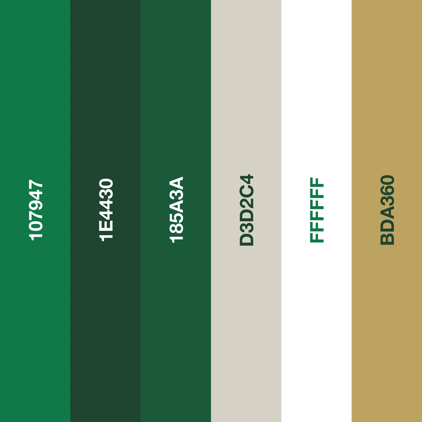 La palette colori del club: verdi, neutri e oro